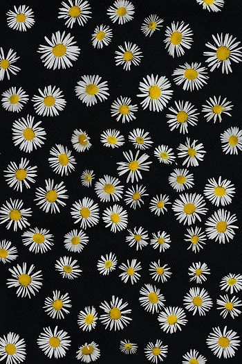 Flowers, Camomile, Pattern HD phone wallpaper