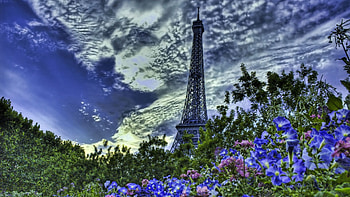 Cities, Flowers, Sky, Paris, Eiffel Tower, France, r HD wallpaper