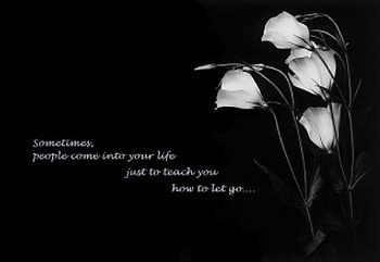 Sometimes..., words, white, black, saying, flowers HD wallpaper