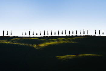 Green, landscape, sky, trees, minimal HD wallpaper