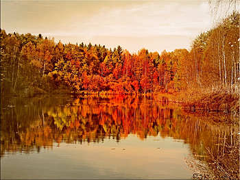 Landscape, Water, Trees, Autumn, Lakes HD wallpaper
