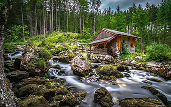 Watermill in Forest, wooden, waterfall, watermill, forest, stream HD wallpaper