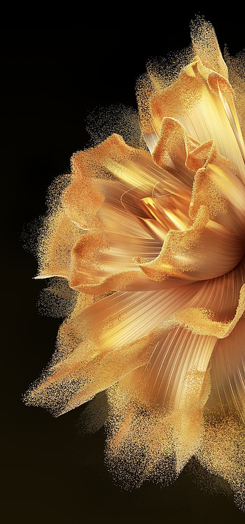 Vivo X Fold, marine_invertebrates, reef HD phone wallpaper