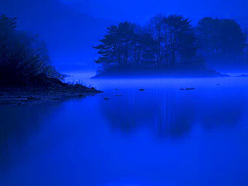 The Blues, mist, blue, shore, trees, water, lake, reflections HD wallpaper