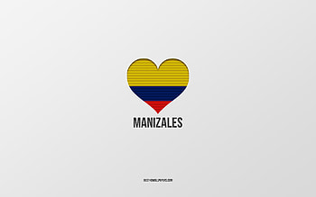 I Love Manizales, Colombian cities, Day of Manizales, gray background, Manizales, Colombia, Colombian flag heart, favorite cities, Love Manizales HD wallpaper