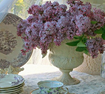 tea time with lilacs, lilacs, flowers, teacup, tea time HD wallpaper