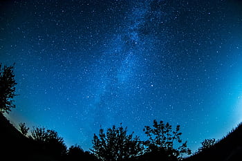 A breathtaking view of a starry night sky over a silhouetted forest, showcasing the Milky Way. HD wallpaper