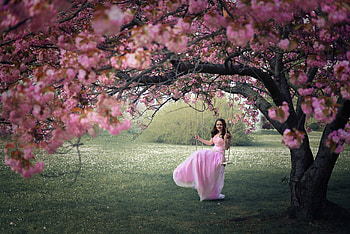 Spring, model, swing, girl, dress, tree, woman, pink, flower, green, sakura, blossom HD wallpaper