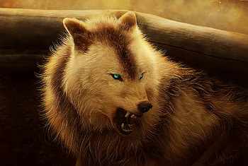 Angry Wolf , wolf, artist, artwork, digital-art HD wallpaper