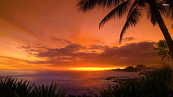 Hawaii Sunset HD wallpaper