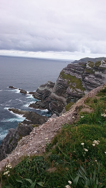 Skellig View, Bluebell rose, Kerry cliffs, Guest suites HD phone wallpaper
