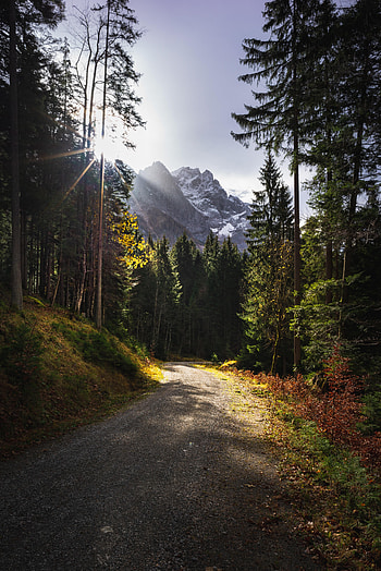 Nature, Trees, Mountains, Sun, Beams, Rays, Path HD phone wallpaper