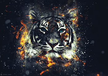 Tiger, Art, Sparks, Flash, Outbreaks HD wallpaper