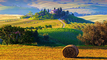 Morning in the Tuscany, Italy, house, landscape, trees, hay, fields, italy HD wallpaper