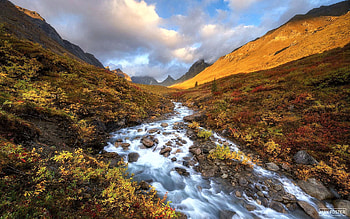 Incredible autumn colors of the Alaskan arctic, landscape, clouds, sky, mountains, usa, stream HD wallpaper