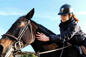 Becoming an equestrian instructor, Equestrian career, Teaching riding, Riding instructor perspective HD wallpaper
