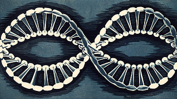 Stunning Double Helix Ultra, double helix, DNA Structure, genetics, infinity HD wallpaper
