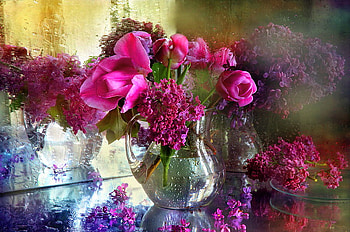 Hot pink, pink, reflection, vase, flowers, droplets HD wallpaper