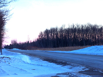 theroadhome, country, roads, spring, country roads HD wallpaper