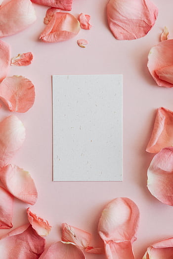 Romantic flat lay with scattered pink rose petals and blank card for personal message. HD phone wallpaper