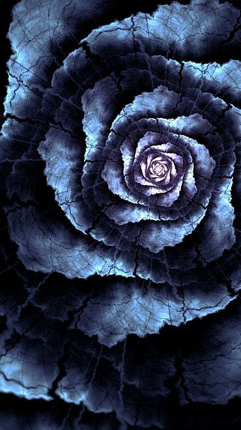 Black Flowers, Flower Art HD phone wallpaper