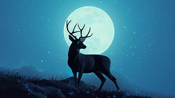 Reindeer Minimal Sky , reindeer, minimalism, minimalist, artist, artwork, digital-art HD wallpaper