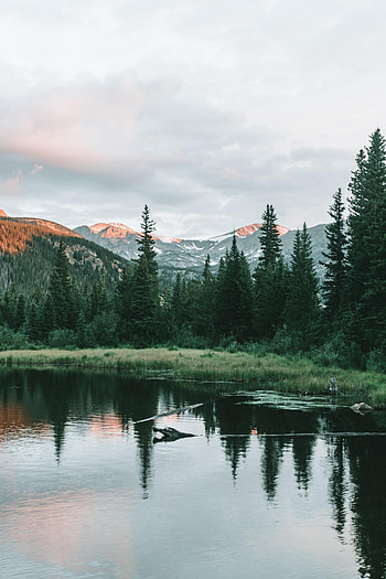 Nature, Trees, Mountains, Lake, Spruce, Fir HD phone wallpaper