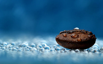 Water, Drops, Macro, Wet, Liquid, Coffee Beans, Humid HD wallpaper