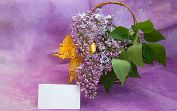 Beautiful Flowers, basket, card, flowers, bloom HD wallpaper