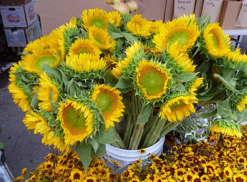 Flowers, Sunflowers, Bouquet, Bucket HD wallpaper