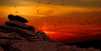 Silhouetted birds flying over rocky formation during a vibrant sunset, capturing nature's serene beauty. HD wallpaper