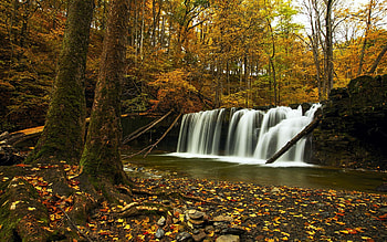 It's almost Autumn in the Finger Lakes again! A waterfall off of Cayuga Lake, river, leaves, fall, colors, trees, forest, cascade HD wallpaper