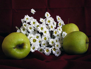 Fruits, Flowers, Food, Apples, Camomile HD wallpaper