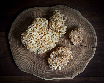 Cauliflower mushroom recipe, Sparassis crispa, Gone71, Food HD wallpaper