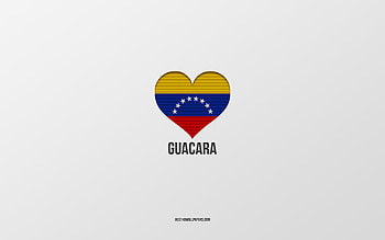 I Love Guacara, Venezuelan cities, Day of Guacara, gray background, Guacara, Venezuela, Venezuelan flag heart, Love Guacara HD wallpaper