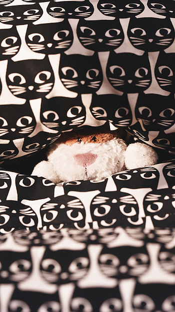 Cats, Miscellanea, Miscellaneous, Pattern, Toy, Plush, Peek Out, Look Out HD phone wallpaper