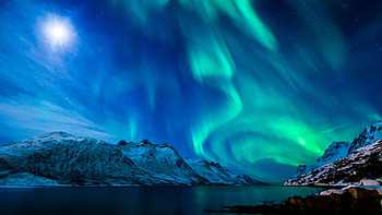 Alaska travels, Northern lights, Mesmerizing display, Night sky wonder HD wallpaper