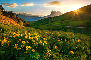 Early summer in mountains, mountain, rays, hills, morning, glow, grass, beautiful, sunrise, wildflowers, summer, freshness, greenery, sky, sun HD wallpaper