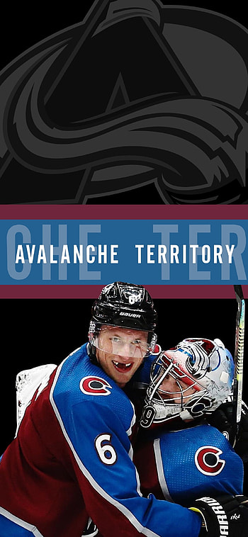 Pavel Francouz and Nathan MacKinnon, Colorado Avalanche HD phone wallpaper