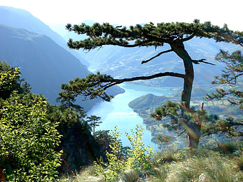 Mountain view, view, nature, wallapers, mountain HD wallpaper