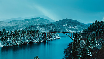 Beautiful Bridge Between Lake In Forest , forest, lake, bridge, nature HD wallpaper