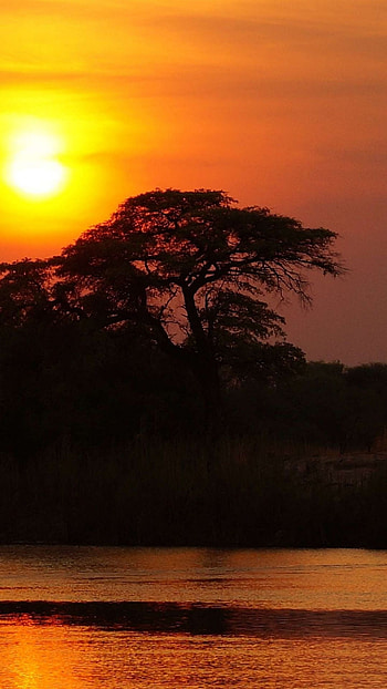 Botswana beauty, Inspiring visuals, Natural paradise, for HD phone wallpaper