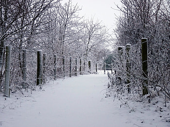 Walk the Unwalked Path, unwalked, snow, path, fence HD wallpaper