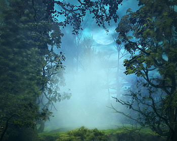 Nature, Trees, Art, Forest, Fog, Branches HD wallpaper