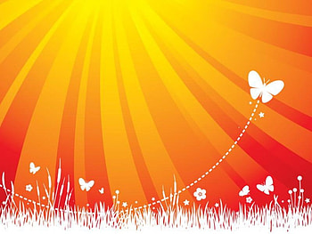 Butterflies, flowers, abstract HD wallpaper