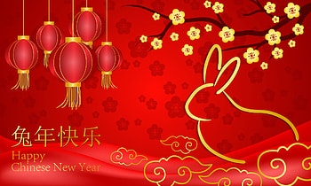 Year of the rabbit, holiday, Chinese New Year HD wallpaper