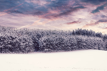 Winter Nature Outdoors , winter, outdoors, nature HD wallpaper