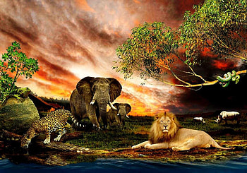 The lion, nature, leopard, elephant HD wallpaper