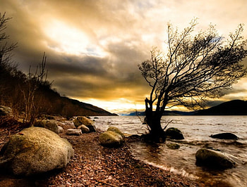 in a desert side, desert, brown, wood, dark HD wallpaper