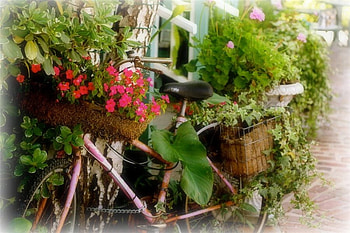 flower ideas, bicycle, ideas, pots, flower HD wallpaper